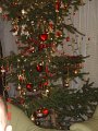 DSC04610