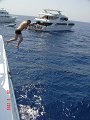 DSC05221