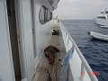 DSC05287