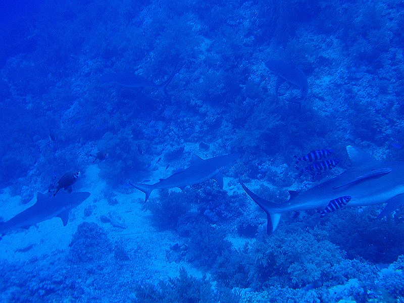 P9200144.JPG