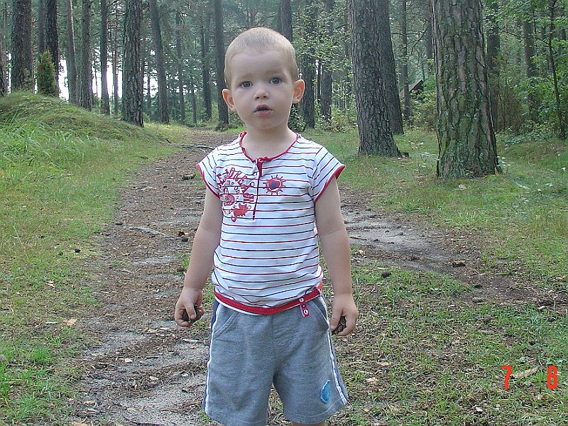DSC05087.JPG - W lesie