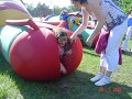 DSC04890