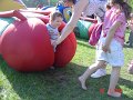 DSC04891